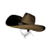 Cowboy Hat